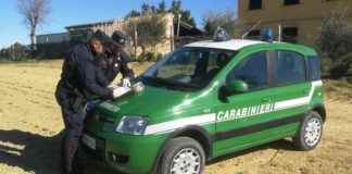 Irregolarità filiera del Biologico, posti sotto sequestro 86.158 euro