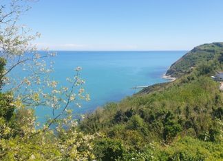 Marche, dal 4 maggio 2020 consentite passeggiate sulle spiagge