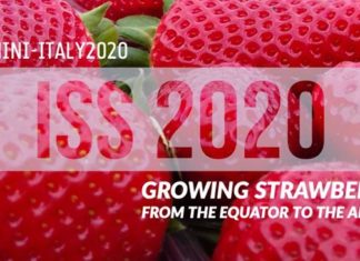 Ancona, docenti UnivPM all’International Strawberry Symposium