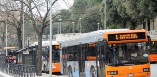 autobus macerata