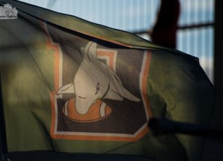 Coronavirus, i GLS Dolphins Ancona sospendono tutte le attività bandiera dolphins