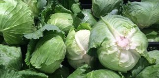 Contenimento Covid-19, nei mercati di Macerata consentita solo la vendita di prodotti alimentari cavoli