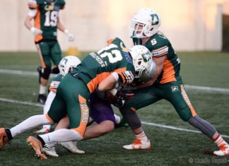 GLS Dolphins Ancona, il match contro i Warriors Bologna spostato al 6 giugno