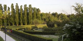 A Pesaro il 18 ottobre è Stradomenica: le iniziative previste