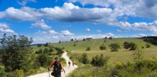 daelcito a sanseverino