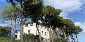 fondazione città di senigallia