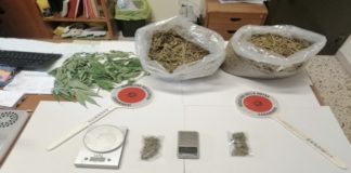 marijuana sequestrata