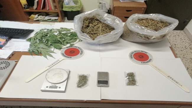 marijuana sequestrata