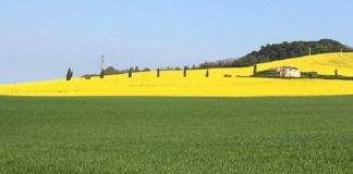 Recanati, gli agricoltori aiutano nella manutenzione delle strade verdi