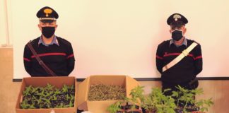 Macerata, detenzione abusiva arma e stupefacenti: arrestato 47enne