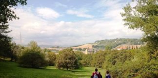 “Macerata cammina nel verde”, manutenzione nel tratto bosco Collevario – Fontescodella