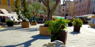 Piazza Del Popolo a San Severino: una meraviglia tra fiori, colori ,profumi e …arte