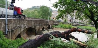 tronchi fiume potenza