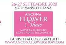 ancona flower show