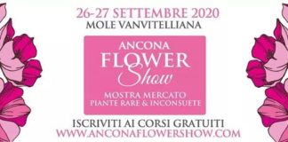 ancona flower show