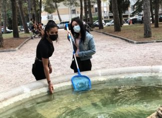 pulizia fontana jesi