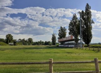 rugby2-campo