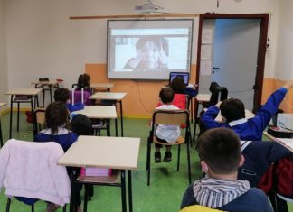 Ancona, Roarr! 2020: le attività conclusive del progetto