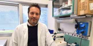 Prof Bellesi