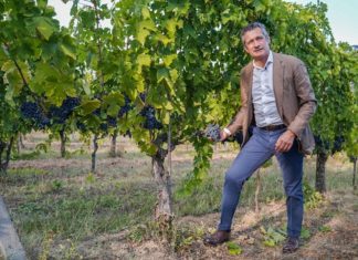 Umani Ronchi - vendemmia -Bernetti