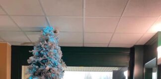 “Dalla città di Camerino” un grande albero di Natale per l’ospedale