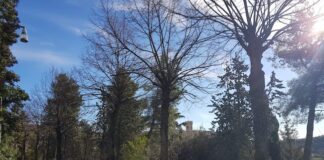 Recanati, proseguono i lavori di consolidamento del Colle dell’Infinito