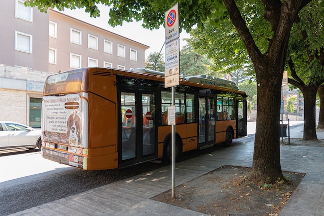 autobus ascoli