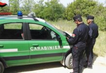 Potenza Picena, i Carabinieri Forestali scoprono campo da golf abusivo