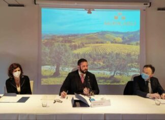 Marche, sostenibilità e vini: ecco il Progetto cofinanziato dalla Regione