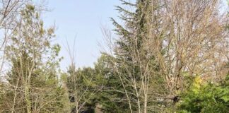 Macerata, riaperto il parco di Villa Lauri