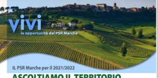 PSR Marche 2021/2022, inizia da Jesi un ciclo di incontri