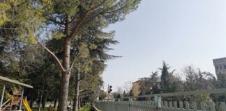 Macerata, saranno abbattuti alcuni alberi in largo Pascoli su obbligo di RFI