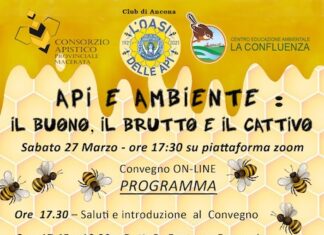 “Api e Ambiente. Il buono, il brutto e il cattivo”: oggi il convegno on line