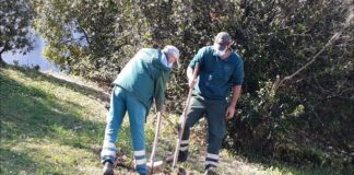 Ancona, Mosaico Verde: 500 alberi piantati in tre zone della città