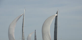 Senigallia, “A vela? Sì con te!”: al via il progetto targato Sailing Park