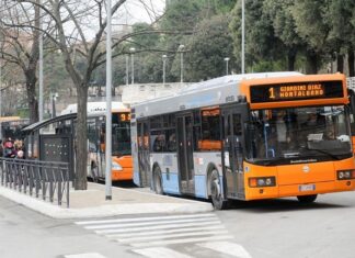 autobus macerata