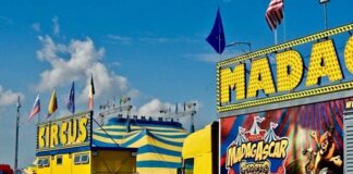 Ascoli, l’appello disperato del Circo Madagascar