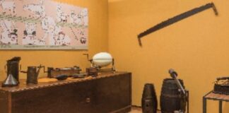 San Severino, due Musei per le “Memorie di una Terra”