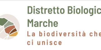 Distretto Biologico Unico delle Marche, raggiunta quota mille preadesioni