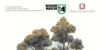 San Severino, “Sibillini Summer School”: domande entro il 17 giugno 2021