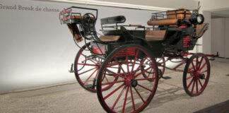 Macerata, il 29 luglio evento gratuito per bambini e ragazzi ai Musei Civici