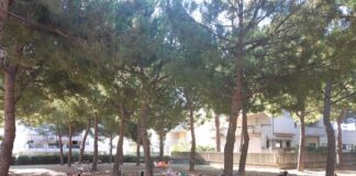 Grottammare, proseguono le attività di “Equilibrio e movimento per la salute”