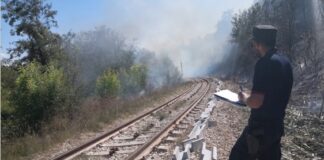 Macerata, incendio boschivo in area urbana: individuati i responsabili