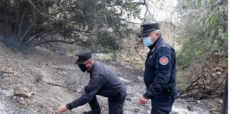 Incendio boschivo a Mogliano, denunciato un 63enne