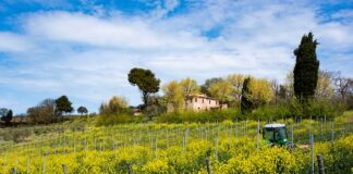 Pesaro, il 5 settembre inaugurazione Azienda Agricola De Leyva