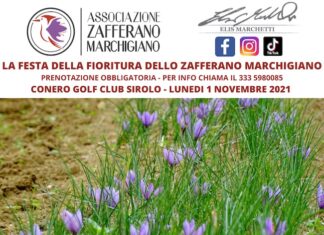Ancona, il primo novembre la Festa dello Zafferano Marchigiano