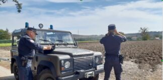 Macerata, smaltimento illegale rifiuti: i Carabinieri Forestali denunciano Ditta del Nord Italia