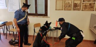 Macerata, contrasto spaccio e consumo stupefacenti: controlli dei Carabinieri