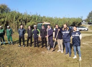Ancona, nell’area di via Filonzi 400 alberi al posto della discarica