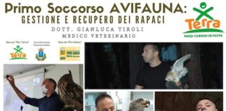 Per Terra a Ostra: convegno dedicato all’avifauna selvatica
